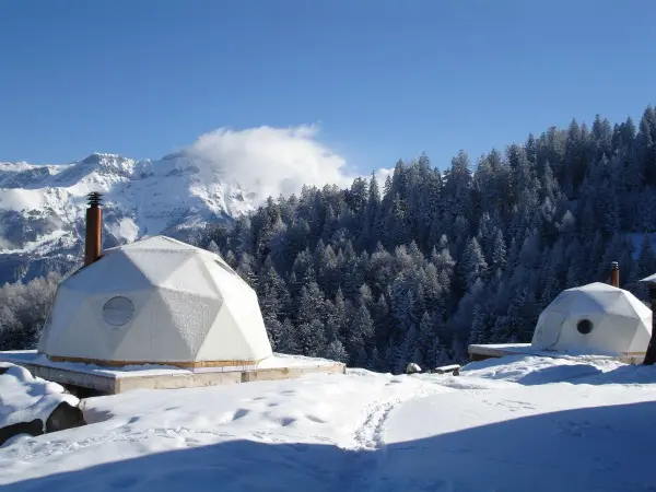 Outside Whitepod