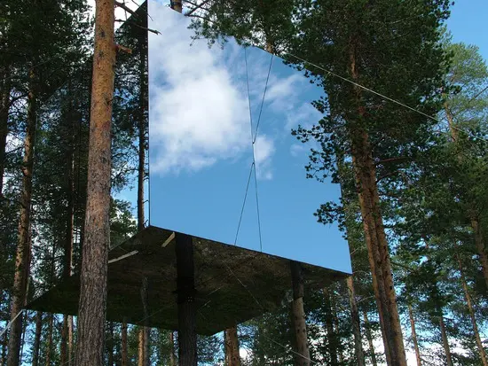 Tree hotel