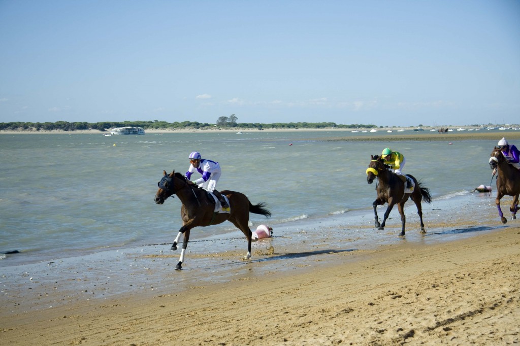 carreras de caballos