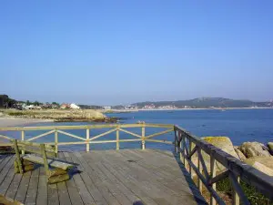 mirador. O Grove mirador. O Grove
