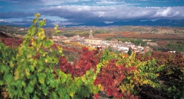 Fotografía, enoturismo y gastronomía: Viaje a La Rioja en otoño