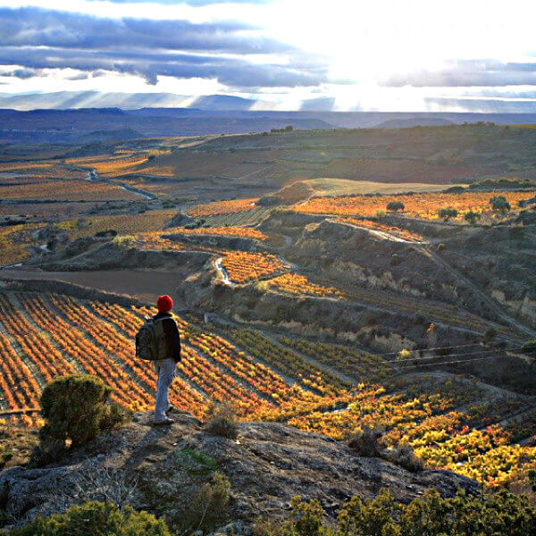 la rioja turismo