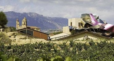 La ruta del vino: Rioja