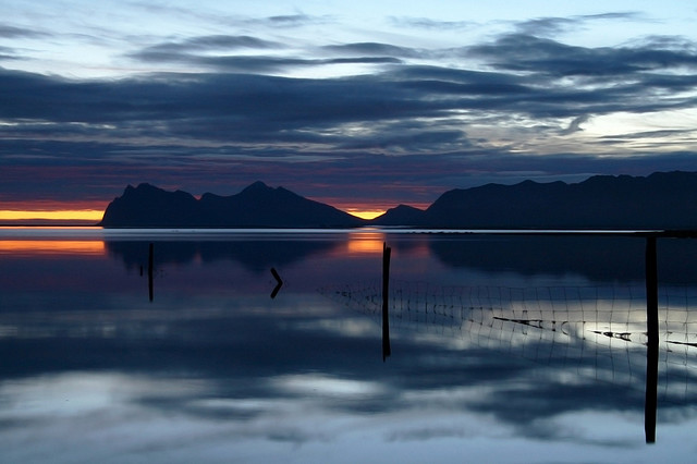 Suncet at Swan Fjord 
