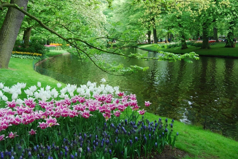 keukenhof