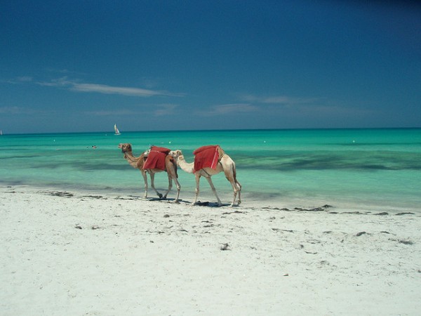 Djerba