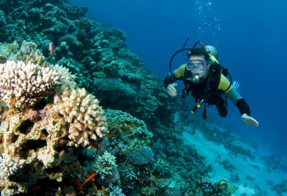 buceo