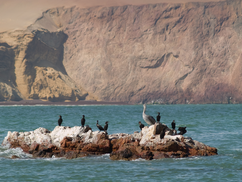 Islas Ballestas, Ica