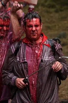 Batalla del Vino, Haro 