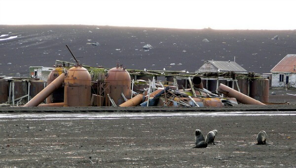 Deception Island, Islas Shetland