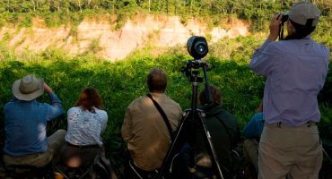 Cómo hacer fotos profesionales en la selva de Tambopata sin ser experto