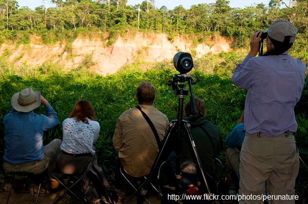 Actividades fotográficas en la Reserva Nacional de Tambopata