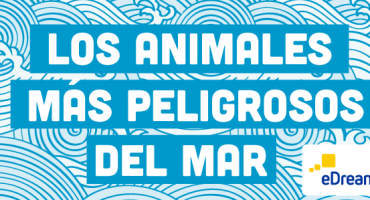 5 animales marinos peligrosos: prevención y remedios