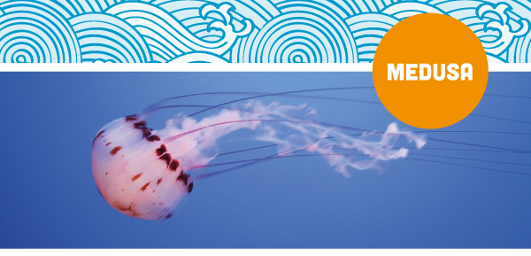 medusa