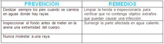 prevenciones y remedios rayas