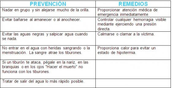 prevenciones y remedios tiburon