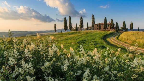 La Toscana