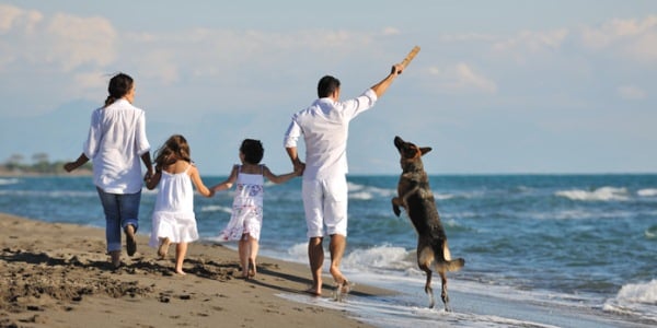 viajar con mascotas