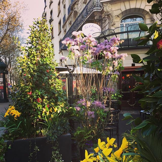 closerie des lilas