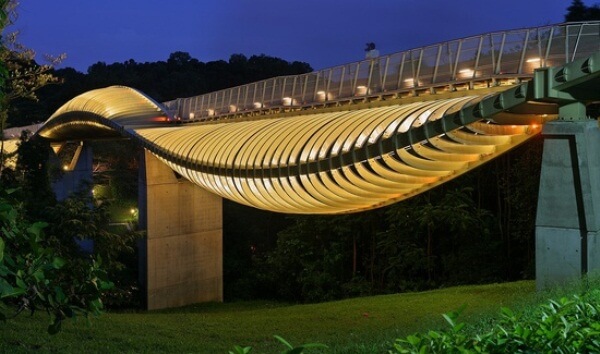 Puente Henderson Wave
