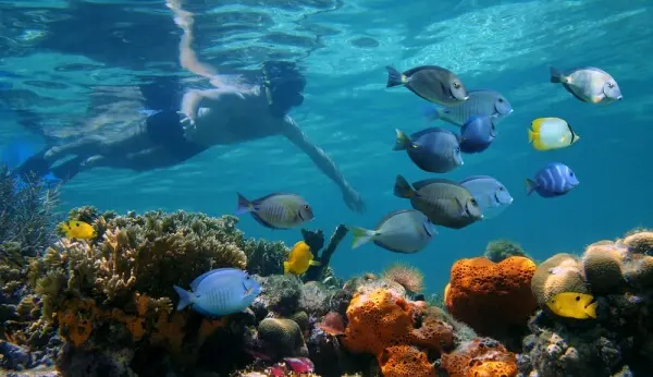 buceo y snorkel