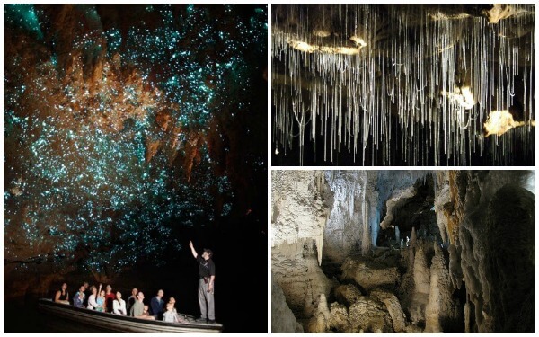 Waitomo cave 4