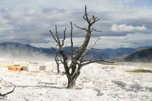 mammoth-hot-spring