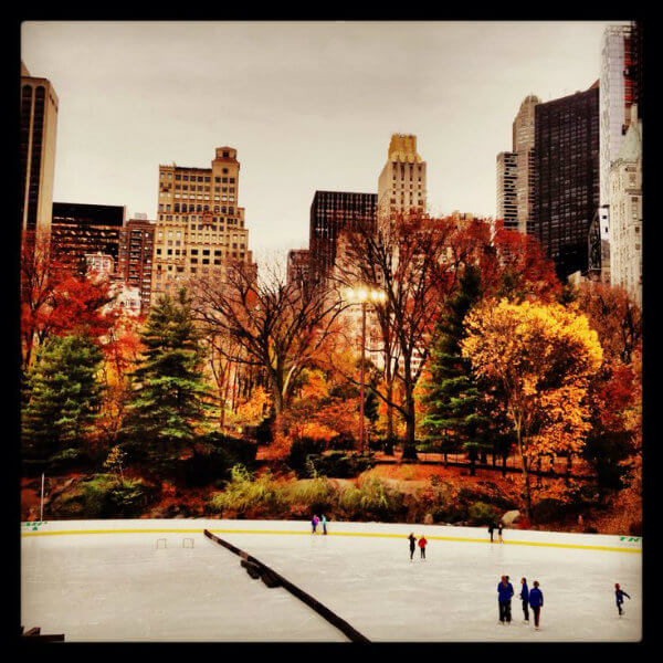 wollman rink