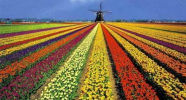 Los 5 mejores festivales de flores de Europa