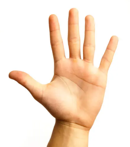shutterstock_57912580