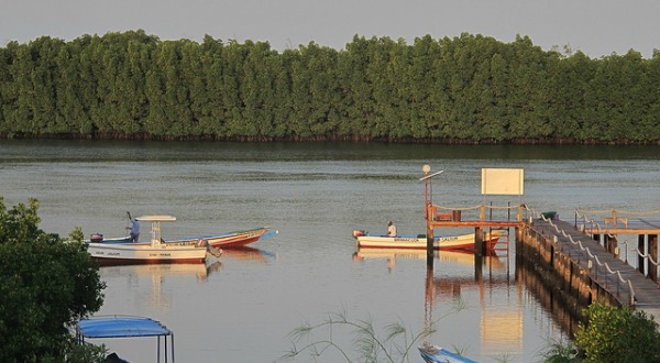Bahia de Sine Saloum, Senegal