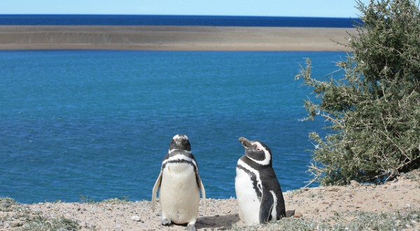 Bahía en Península Valdés, en Argentina