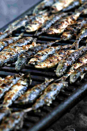 Sardinada en Coruña sardinada coruña