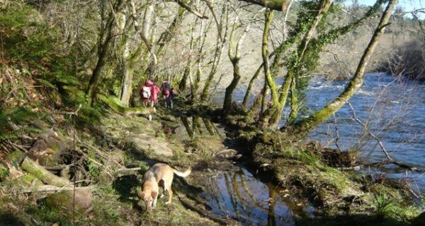 Ruta de los Tres Ríos, Galicia