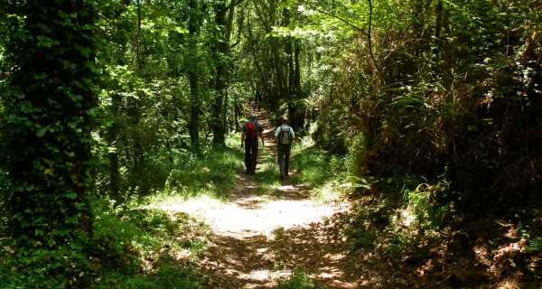 Ruta de los Tres Templos, País Vasco