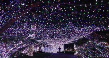 Record Guinness: La casa con más luces de Navidad, 502.165 bombillas