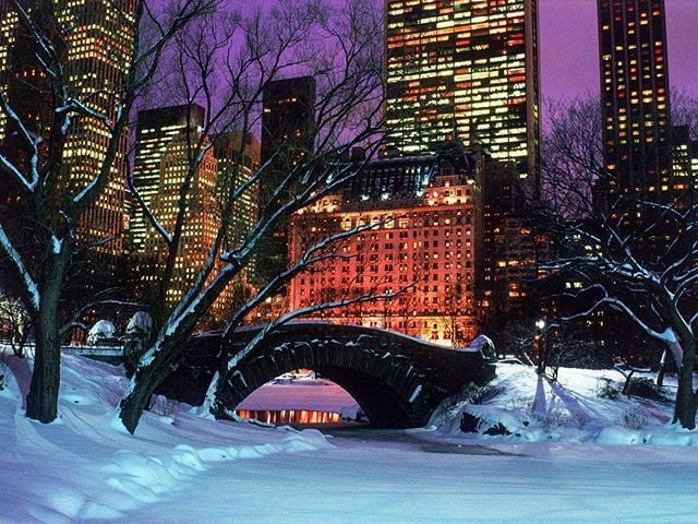 central park en invierno