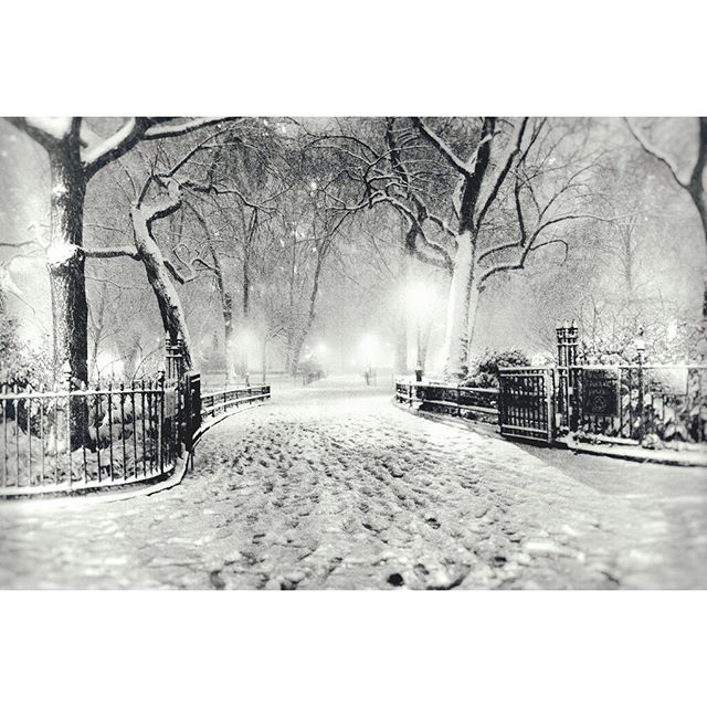 Central park en invierno