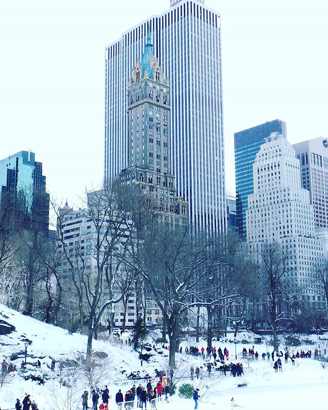 nueva york en invierno