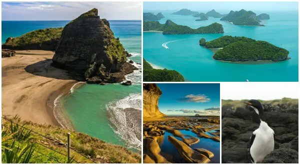 Auckland collage