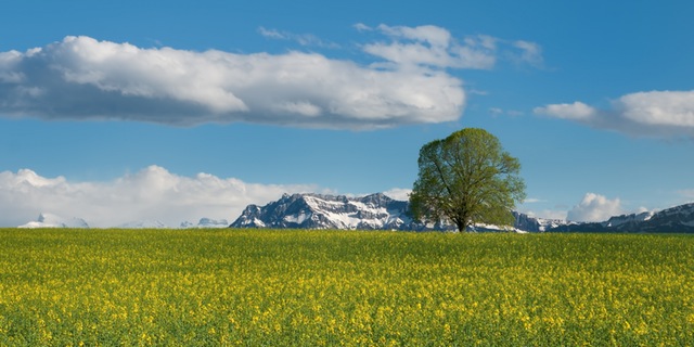 14 lugares perfectos para besar a tu pareja en San Valentín. Monte Titlis