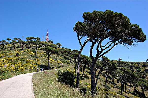 carretera de les aigues barcelona