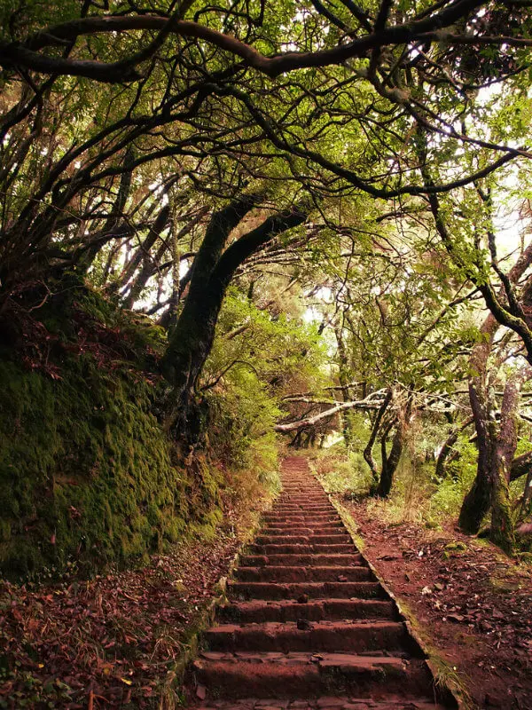 Levada das 25 fontes, Madeira levada 25 fontes madeira