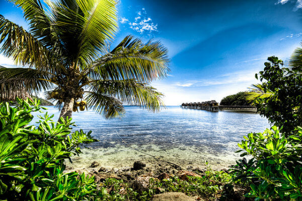 islas fiji