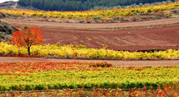 Lugares de España para ver en otoño