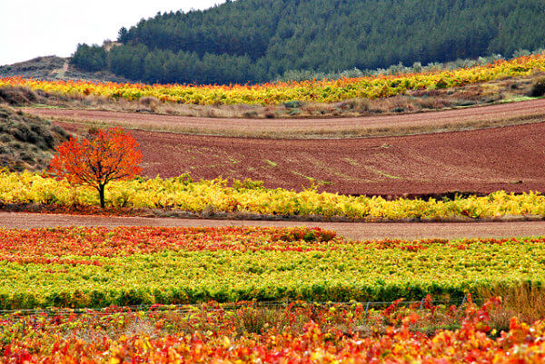 Otoño en La Rioja