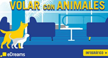 Equipaje de mano de Air Europa: normas de vuelo con Air Europa - easyDest