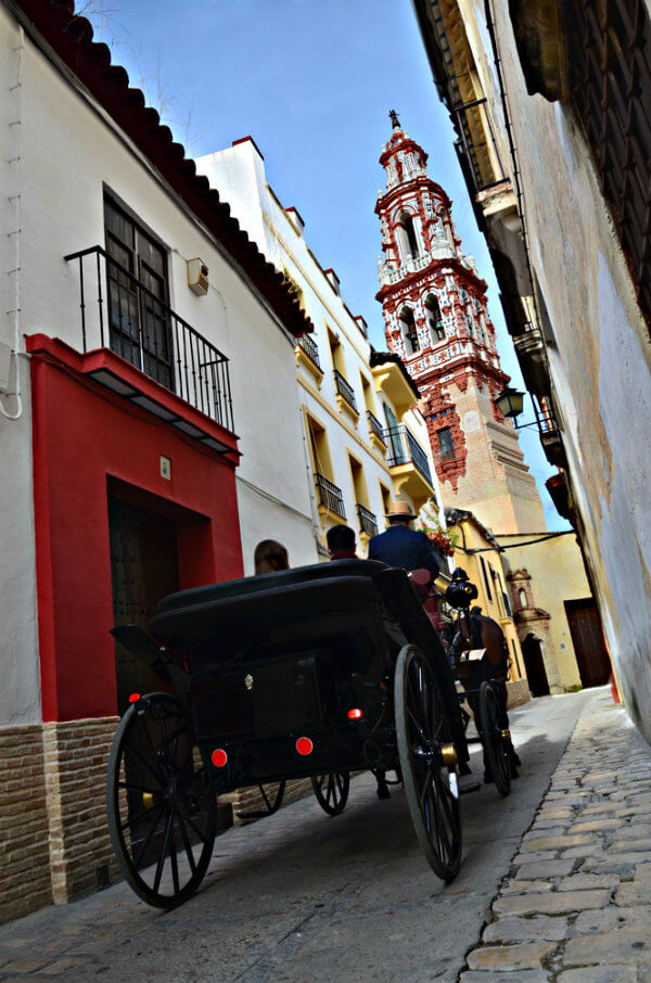 ecija caballos