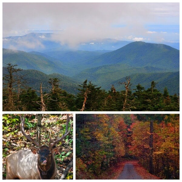 smoky mountains Collage