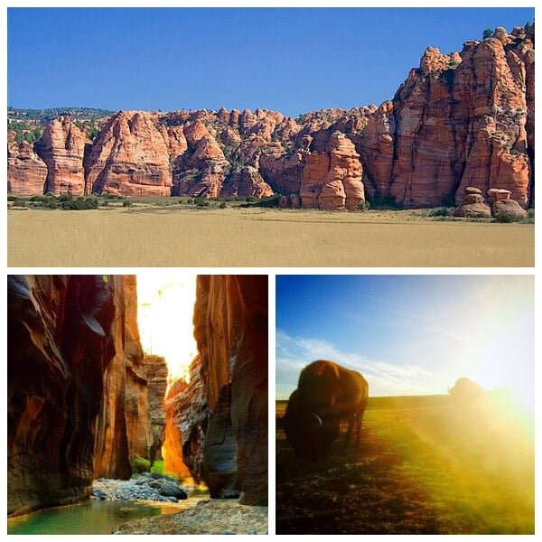 zion park Collage